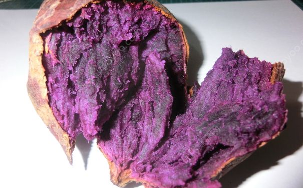 紫薯会发胖吗？吃紫薯会长胖吗？(4)