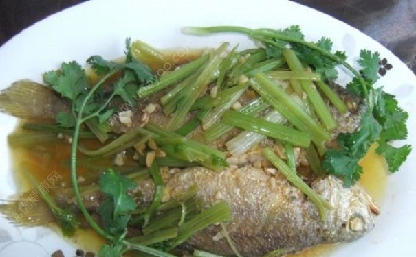 芹菜和鱼肉能一起吃吗？芹菜和鱼肉同食好吗？(2)