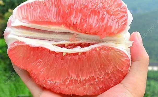 柚子为什么能减肥？吃柚子可以减肥吗？(4)
