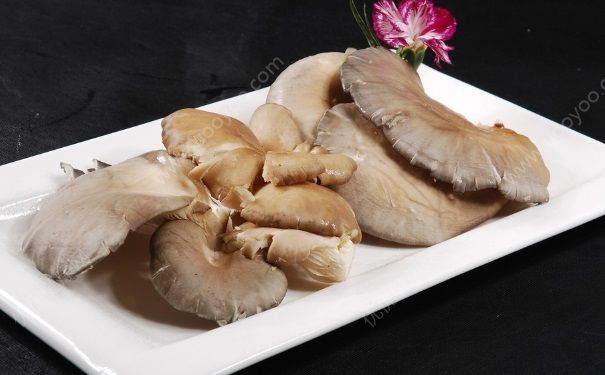 豆角和蘑菇能一起吃吗？豆角和蘑菇一起好吃吗？(4)