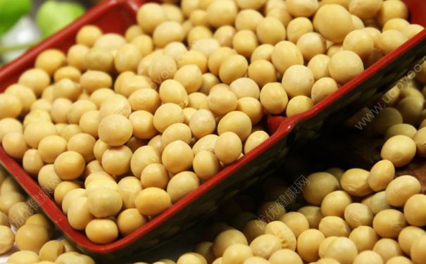 吃黄豆有什么作用？吃黄豆有助于排卵吗？(3)