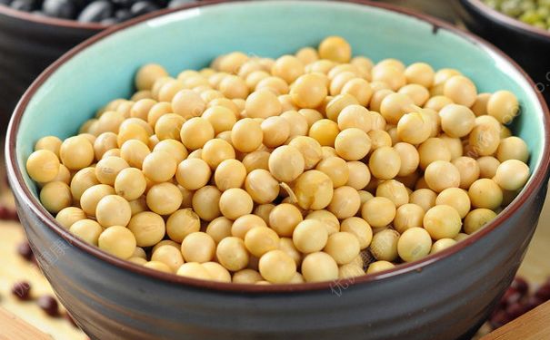 吃黄豆有什么作用？吃黄豆有助于排卵吗？(2)