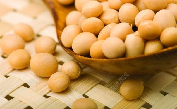 吃黄豆有什么作用？吃黄豆有助于排卵吗？(4)