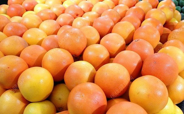柚子和柿子能一起吃吗？柚子和柿子同食好吗？(5)