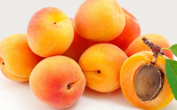 杏子的功效与作用有哪些？吃杏子有什么好处？(1)