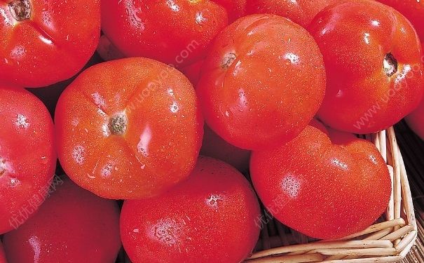 豆芽和西红柿能一起吃吗？豆芽和西红柿一起吃好吗？(4)