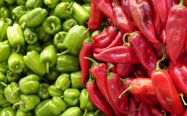 辣椒是热性还是凉性？辣椒是热性食物吗？(1)