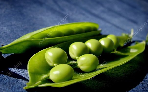 孕妇能吃豌豆吗？怀孕可以吃豌豆吗？(3)