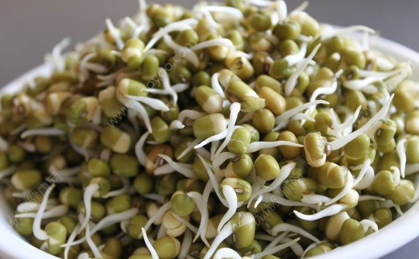 绿豆芽和韭菜一起炒能减肥吗？吃绿豆芽和韭菜能减肥吗？(3)