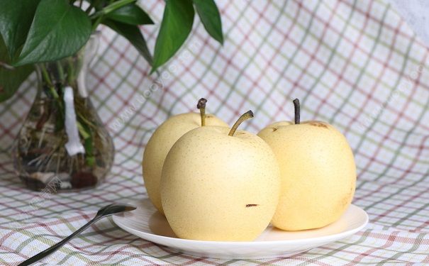 梨子对肺有什么好处？吃梨子对肺的好处有哪些？(4)