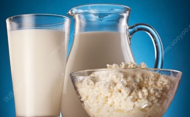 豆奶和奶粉哪个好？豆奶和奶粉哪个更有营养？(1)