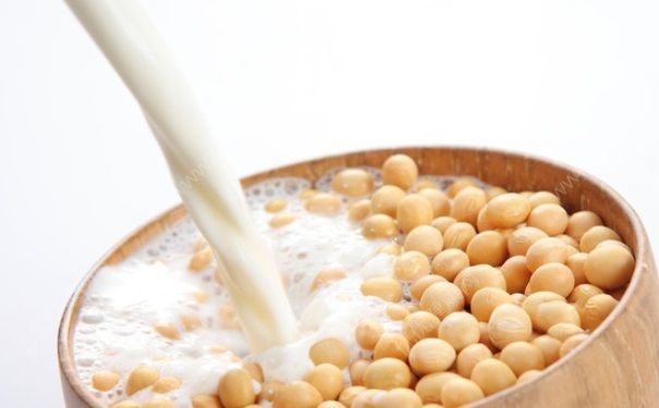 豆奶和豆浆有什么区别？豆奶和豆浆哪个更有营养？(1)