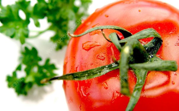 西红柿的热量是多少？西红柿的热量高吗？(3)