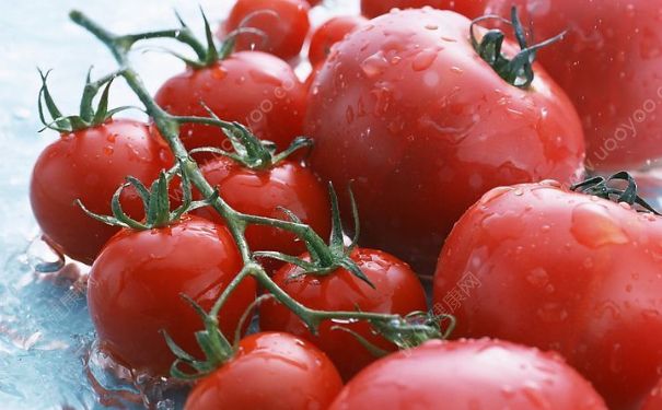 西红柿的热量是多少？西红柿的热量高吗？(1)