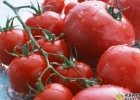 西红柿的热量是多少？西红柿的热量高吗？[多图]