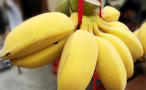 健身吃香蕉有什么好处？香蕉对健身有什么好处？(3)