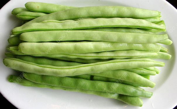 豆角的热量是多少？豆角的热量高吗？(2)