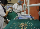 17岁印度少年嘴中取出232颗牙破世界纪录 患肿瘤的牙齿伤不起