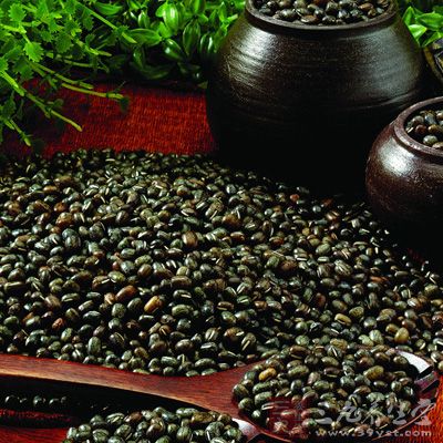 黑豆具有“补肾、补五脏、暖胃肠、壮筋骨、活血化淤、祛风、解毒、益寿”的良好功效