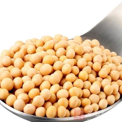 大豆是高蛋白食物，含钙量也很高