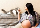 孕妇养宠物要警惕胎儿感染