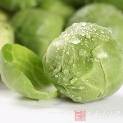 甘蓝甘蓝是世界卫生组织推荐的最佳蔬菜之一