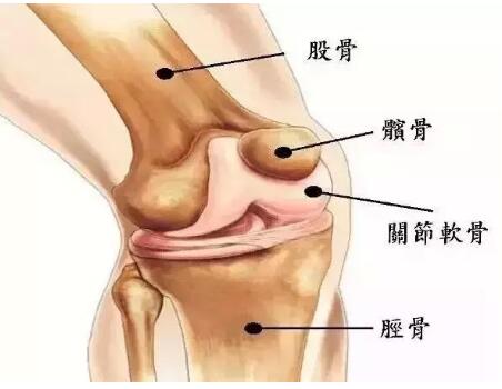 膝盖酸痛治疗方法 经常腿痛小心劳累