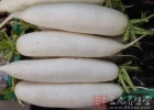 老年人骨折吃什么好 吃啥有助老人骨折恢复