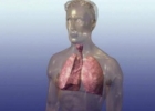 肺部疾病 呼吸不好照出肺部有阴影