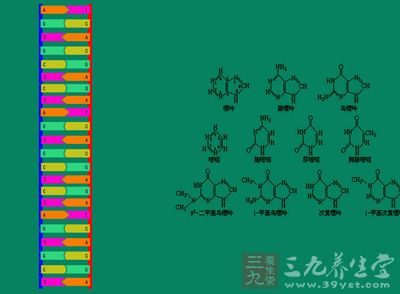 如果染色体异常的话也会导致胚胎不发育而致早期流产