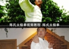 陈氏太极拳视频教程 陈式太极拳