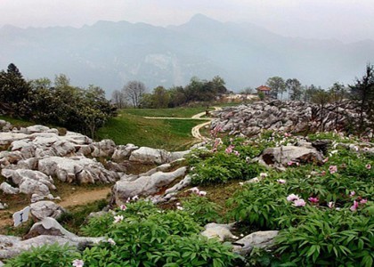 旅游养生胜地