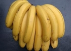 孕妇吃香蕉可以吗 孕妇吃香蕉的科学解释