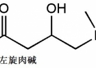 左旋肉碱减肥管用吗,左旋肉碱减肥过程