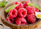 树莓酮减肥有用,树莓酮减肥的理由
