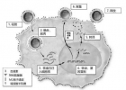 燕窝抗流感，还有这种「神」操作？